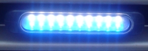 Y[C